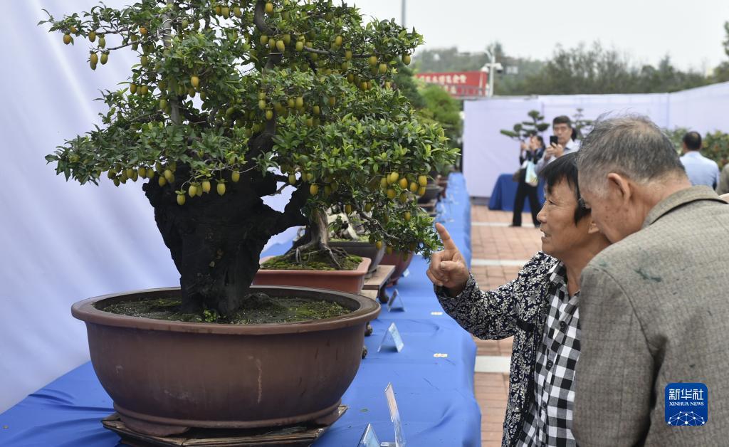 德赢vwin官网下载